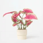 Caladium artificiel