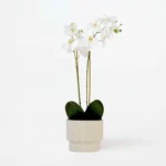 Plante artificielle orchidée phalaenopsis