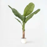Plante artificielle Musa Bananier XXL