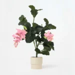 Plante artificielle Medinilla magnifica